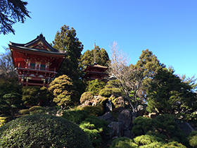Japanese Tea Garden